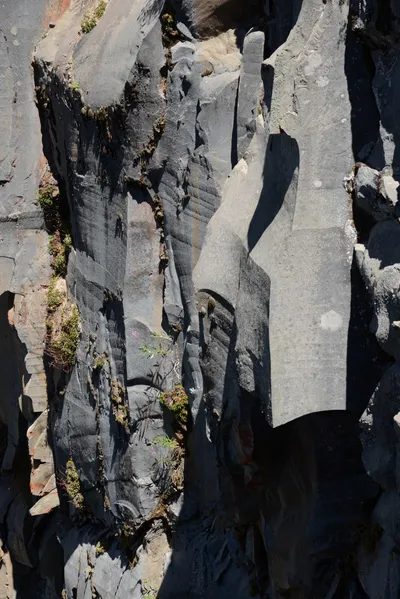 DSC_3777 (Large).JPG